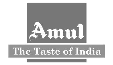 ntrust digital marketing agency in ahmedabad